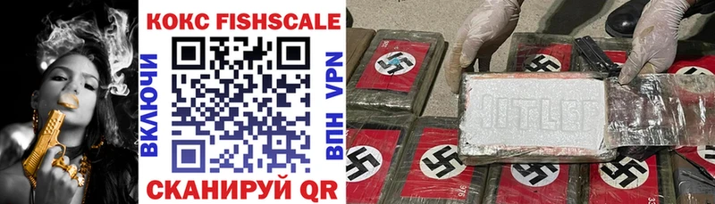 COCAIN FishScale  где купить наркотик  Заинск 