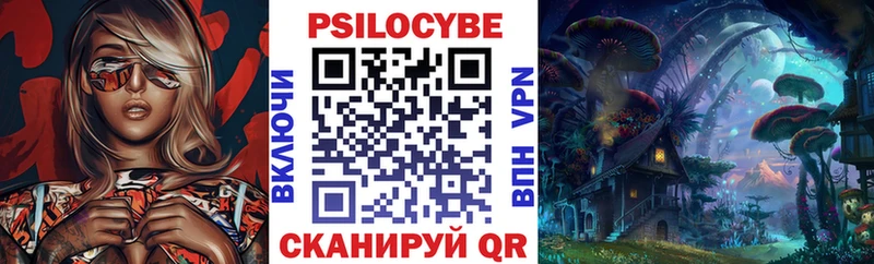 Псилоцибиновые грибы GOLDEN TEACHER где можно купить наркотик mega ссылка Заинск