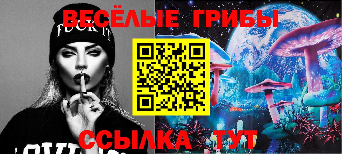 Псилоцибиновые грибы прущие грибы Заинск